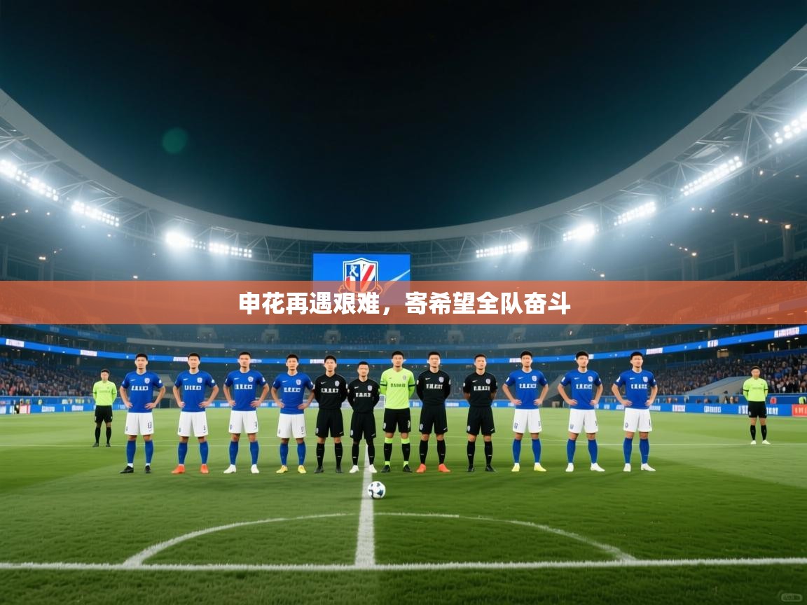 申花再遇艰难，寄希望全队奋斗  第2张