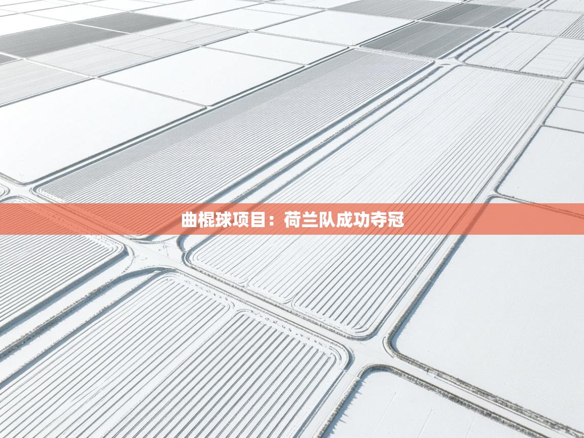 曲棍球项目：荷兰队成功夺冠  第1张