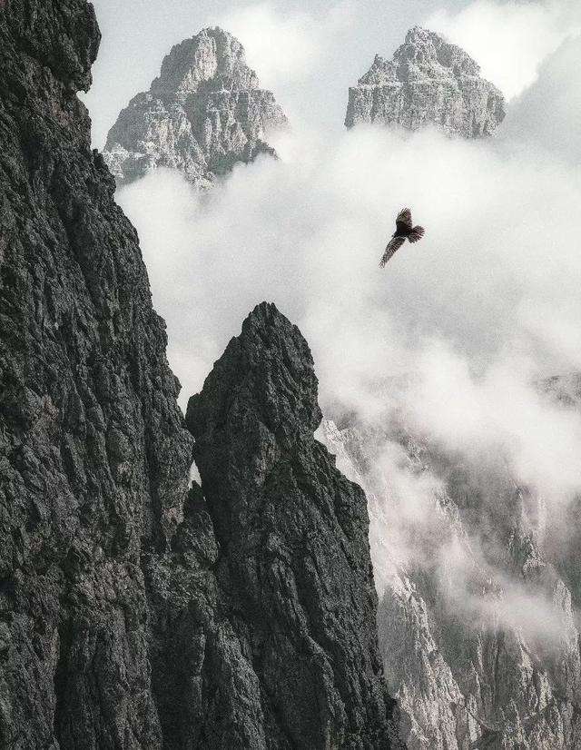 包含永不言弃:球场上的勇士们将散发无限魅力的词条